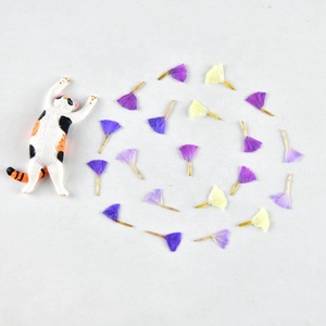 20 pz/pacco dimenticami non/Statice Fortunei/lavanda di mare decorazione artistica per unghie Decal Mini <span class=keywords><strong>fiori</strong></span> naturali pressati - Product Image 4