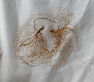 CJ886 28cm Red de pelo de nylon más popular Red de pelo negro Red de malla desechable - Product Image 3