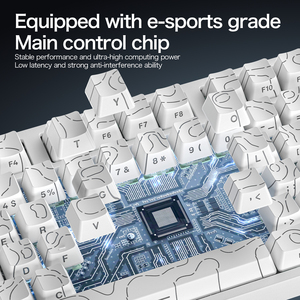 Teclado Mecánico Magnético para Juegos ATTACK SHARK R82 <span class=keywords><strong>HE</strong></span>, Cableado, Diseño 75%, NKRO, RGB, 8KHz de Frecuencia de Sondeo, Precisión de 0.005mm, Frecuencia de Escaneo de 256K - Product Image 5