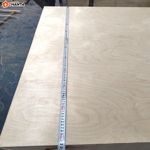 Diseño moderno <span class=keywords><strong>de</strong></span> <span class=keywords><strong>segunda</strong></span> <span class=keywords><strong>mano</strong></span> Okoume/Álamo/abedul/Pino 3/4 CDX madera contrachapada 4x8 E0 emisión <span class=keywords><strong>de</strong></span> formaldehído 1 año para encofrado <span class=keywords><strong>de</strong></span> hormigón - Product Image 4