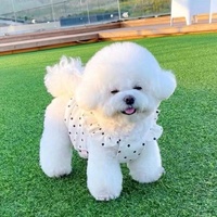 Fabricant de gros jupe de princesse pour animaux de compagnie vêtements d'été pour chiens jupe à pois style mince robe chiot chaton
