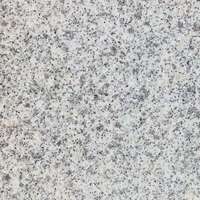 Peldaños de Granito Blanco Sésamo Pulido Moderno G303 de Eastern Stone China con 5 Años de Garantía para Proyectos en Exteriores