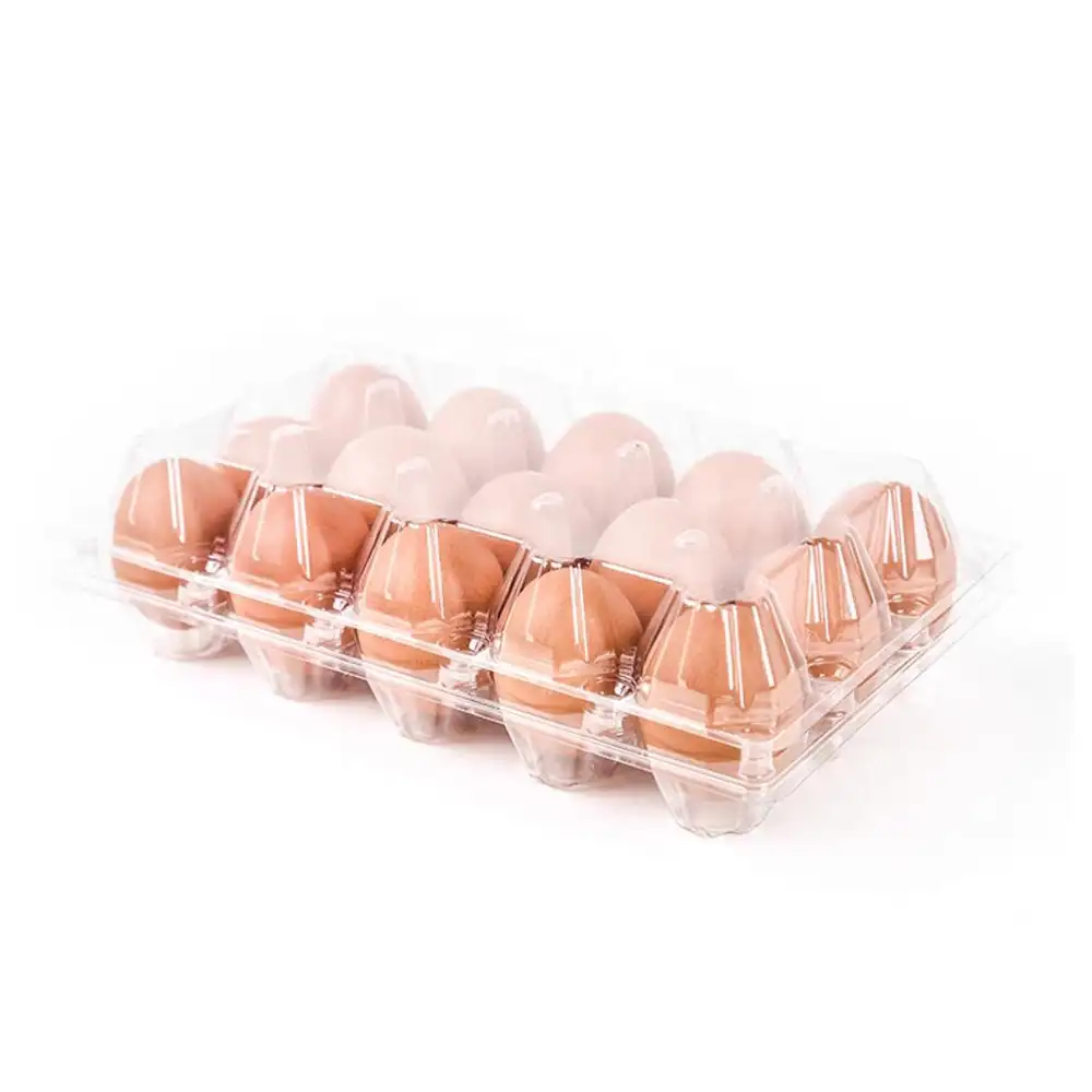 20 ячеек на заказ, картонная коробка для яиц из прозрачного ПЭТ пластика, упаковка для куриных яиц на продажу