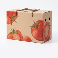 Boîtes en carton ondulé OEM écologiques, respirantes et imperméables avec poignée pour le stockage des myrtilles de qualité alimentaire