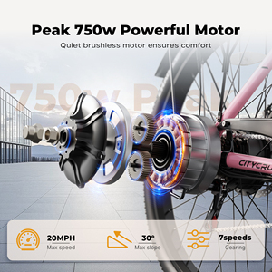 Bicicleta Eléctrica Urbana VARUN de 26 Pulgadas con 50 km de Autonomía, 500 W, Suspensión Delantera, para Mujeres, en Existencia en la UE, Pedido al por Mayor Directo de Fábrica - Product Image 6
