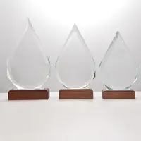 Personalizza il trofeo con placca in cristallo con Logo premi il trofeo in vetro con Base in legno