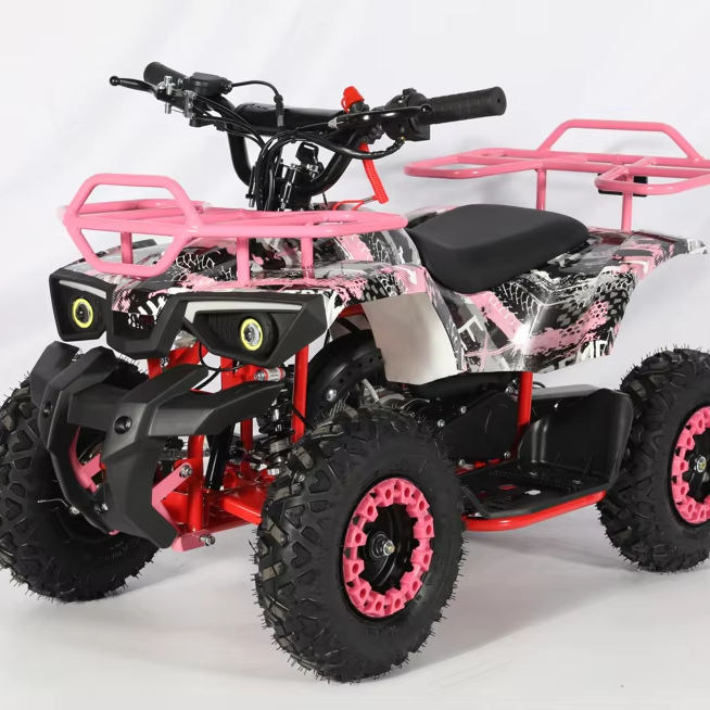 4 Wheeler 2 Stroke Mini Quad