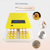 Incubateur automatique de caille de poulet de capacité de 48 oeufs Mini incubateur d'oeufs de puissance unique de ménage châssis de poussin intégré nouveau