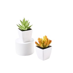 Plantes succulentes artificielles Fuyuji 8cm en PVC, mini-pot décoratif pour la maison, accessoires de mariage - Product Image 5