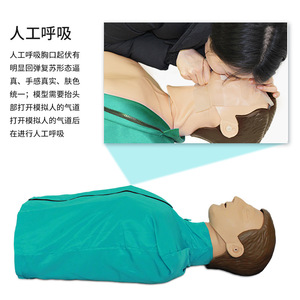 CPR breathing <b>dummy</b>, semi-circular CPR manikin, cardiac resuscitation training model, teaching model. - Product Image 3