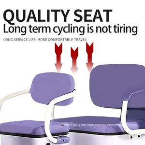 Nuovo Triciclo Elettrico con Riparo Integrato Impermeabile, Potente 800W, <span class=keywords><strong>Bici</strong></span> Elettrica a <span class=keywords><strong>Tre</strong></span> <span class=keywords><strong>Ruote</strong></span> per Famiglia - Vendite Calde - Product Image 6