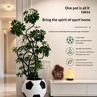Pot de fleurs créatif en plastique en forme de ballon de football, auto-arrosant, design respirant, indicateur de niveau d'eau visible pour les amateurs de plantes paresseux