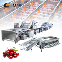 Sus 304 Cherry Tomaat Steelverwijderaar Fruit Sorteermachine Aardbei/Bosbes Sorteermachine Spuitfruit Reinigingslijn