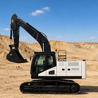 Excavatrices sur chenilles de 22 tonnes, moteur haute puissance Euro V, machine de terrassement hydraulique