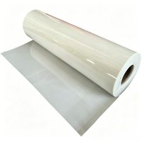 Lámina de Película PET Mylar para Transformadores, Precio de Fábrica, 6020 Transparente, Película de Aislamiento para Motores, 6021 Blanco Lechoso, Película de Poliéster PET