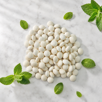Bonbons à la menthe sans sucre au xylitol, saveur menthe glacée, fabricant OEM et ODM