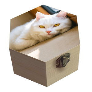 Tùy chỉnh in ảnh lục giác Pet hỏa Táng urns khung cho mèo và chó bằng gỗ tang lễ hộp - Product Image 3
