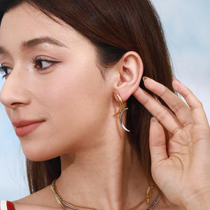 Nuovo stile di nicchia mezza luna goccia orecchino 18K oro acciaio inox olio pressione luna orecchini moda - Product Image 2