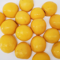 Productielijn voor het stoomschillen van groenten en fruit met pomp voor hoge productiviteit bij de verwerking van tomaten en aardappelen
