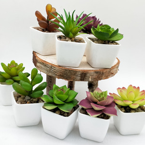 Plantas tropicales de tacto Real de imitación para interiores, conjunto de flores de plástico, plantas suculentas artificiales - Product Image 3