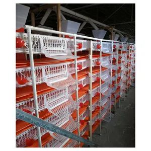 Bon matériel Cage à caille manuelle en plastique pp à 6 niveaux/fournisseur Cage à caille pour la couche de production d'œufs