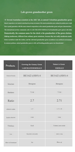 Zanlong 10735ジルコンオーバルカットトレンディな女性用ソリッド925スターリングシルバープロミスリング誕生石グリーンウェディングエンゲージメントリング - Product Image 6