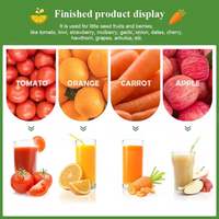 Extracteur d'oignon au gingembre Extracteur de jus d'orange industriel pour jus de goyave