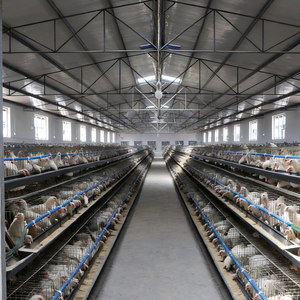 โรงเรือนโครงสร้างเหล็กสำหรับเลี้ยงวัว/ไก่/แกะ แบบโมเดิร์น พร้อมคานรูปตัว H - Product Image 4