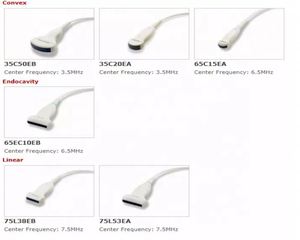 Mindray Dp-10 Echocardiografie Machine Echografie Dier - Product Image 5