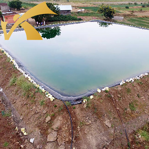 Telo in HDPE/PVC per laghetto e serbatoio d'acqua, spessore 1.0mm, 1.5mm, 2mm, per discariche, <span class=keywords><strong>laghi</strong></span> artificiali e dighe, a tenuta stagna - Product Image 4