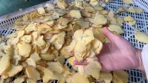 Baixin công nghiệp gừng nghệ Máy chế biến/gừng bột làm cho dây chuyền sản xuất - Product Image 5