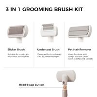 Brosse de toilettage multifonctionnelle 3-en-1 OEM personnalisée CE, autonettoyante pour chats, chiens et lapins, kit de massage et d'élimination des poils