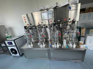Produits de résolution de problèmes 2025 Fermenteur en verre Plug Flow Reactor Fermentation Bio Reactor 10L - Product Image 3