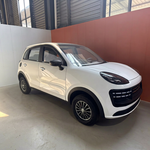 3500W Small New Energy Electric Vehicle for Adults 301-400km Range 110kWh Battery for Outdoor <b>Travel</b> Long-Distance Trips - Product Image 1