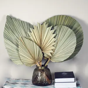 Oferta Especial: Hojas de <span class=keywords><strong>Palma</strong></span> Secas de Gran Tamaño, Decoración con <span class=keywords><strong>Flores</strong></span> Secas, <span class=keywords><strong>Flores</strong></span> para Bodas - Product Image 2