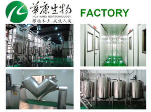 Экстракт натурального листья лопуха азиатского 10:1, порошок экстракта лопуха, азиатский лопух - Product Image 6