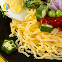 Sugar Free Fat Free Low Carb Gluten Free Oat Instant Konjac Noodles Spaghetti for Children & Adults