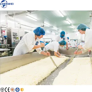 Mozzarella peynir yapma makinesi peynir üretim hattı peynir kdv