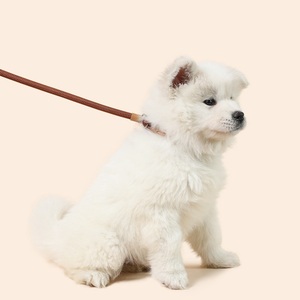 Hot Sale Pet Accessories Nylon Durable Pet Cat Dog Leash Round Rope P Rope Prevent <strong>Getting</strong> <strong>Lost</strong> Luxury cat Dog Cowhide Leash - Product Image 2