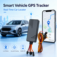 Mini Rastreador GPS 2G/4G Impermeable con WiFi y LBS para Bicicleta/Motocicleta/Vehículo, Antirrobo, con Visualización en PC, 1 Año