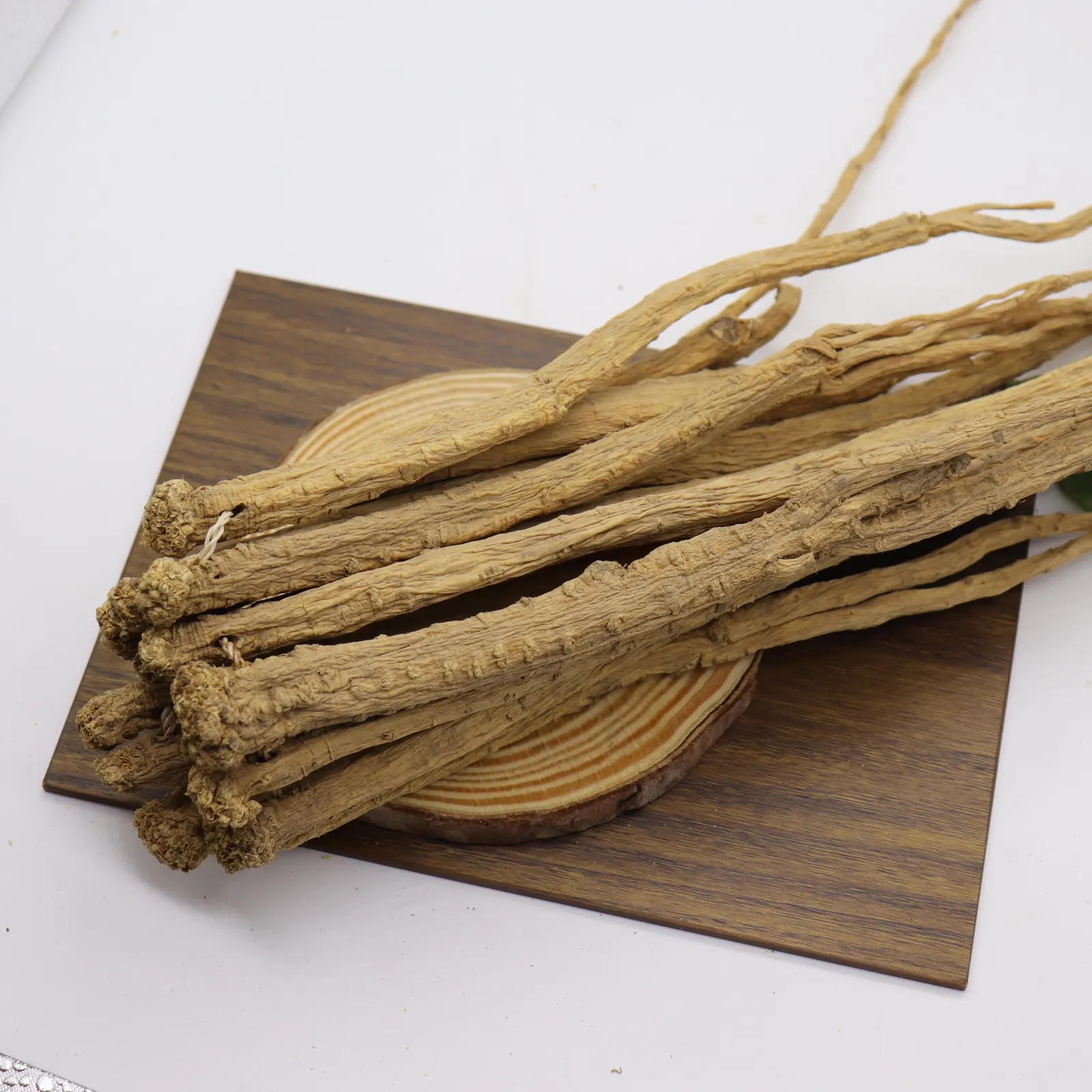 Wholesale Organic Chinese Herb Codonopsis pilosula Herb extract Codonopsis Root