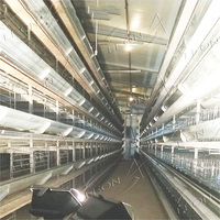 Cage de poulet de ferme de volaille de conception de haute qualité à vendre