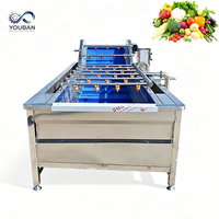 Automatische belletjeswasmachine, 304 roestvrijstalen fruit- en groentewasser voor de verwerking van fruit en groenten