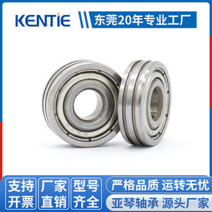 Fournisseur de roulements à billes à gorge profonde non standard, anneaux extérieurs à double gorge, diverses spécifications disponibles - Product Image 5