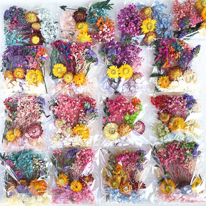 DIY en gros : Mini-mélange de fleurs séchées multicolores, <span class=keywords><strong>eucalyptus</strong></span> naturel en vrac, matériaux séchés - Product Image 1