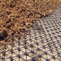 Geogrid Triaxial de Alta Resistencia Serie TX para Carreteras, Ferrocarriles y Cimentaciones de Puentes
