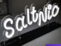 Enseigne publicitaire LED 3D avec nom de l'entreprise, en acier inoxydable, acrylique, néon, étanche, transformateur, utilisation en extérieur, bâtiments, mariages