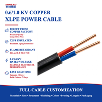 Kabel Daya Bawah Tanah MiNZAN YJV R2V Dua Inti Terlilit 2x4mm2 2x10mm2 2x16mm2 2x25mm2 Konduktor Tembaga Isolasi XLPE