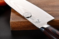 Ensemble de couteaux de cuisine de haute qualité KEENHOPE, 67 couches d'acier Damas VG10, couteau de chef japonais, manche en bois Pakka coloré