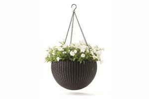 Vườn Giá Thấp Bìa Nồi Khung Tay Dệt Giỏ Lưu Trữ Giáng Sinh <span class=keywords><strong>Wicker</strong></span> Bán Buôn Tường Nhà Máy Nhỏ Giỏ - Product Image 3